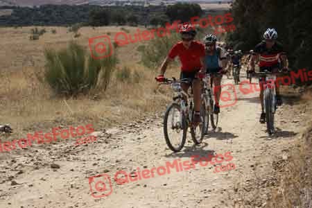 LUIS SANCHEZ GARCIA Talajara 2015 31687