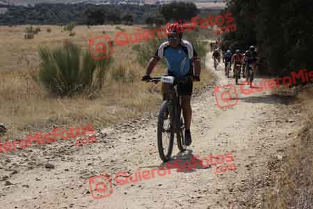 JULIAN AMOR GARCIA Talajara 2015 31741