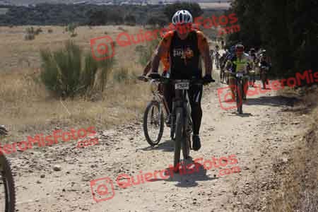 JOSE FRANCISCO MARTIN VALENCIA Talajara 2015 32119