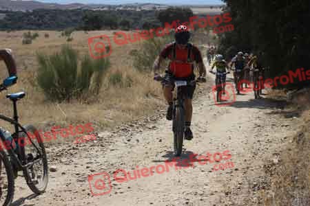 PABLO BOYERO BRAVO Talajara 2015 32254