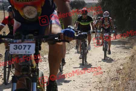 GREGORIO GARCIA DIAZ Talajara 2015 32366