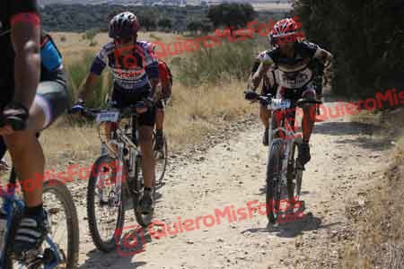JESUS MELCHOR DEL PINO Talajara 2015 32476