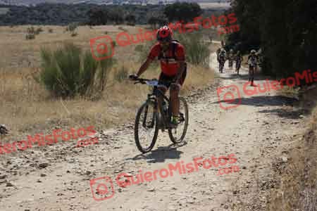 GUSTAVO ELEZ GONZALEZ Talajara 2015 32577