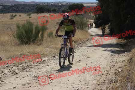 SERGIO SAEZ AYALA Talajara 2015 32828