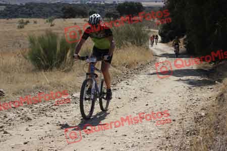 SERGIO SAEZ AYALA Talajara 2015 32829