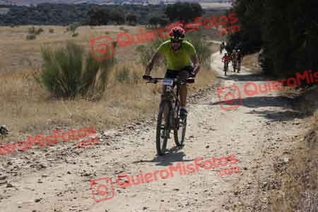 MARIO ALIA MORENO Talajara 2015 32830