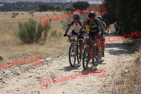 JOSE LUIS MARTIN NEVADO Talajara 2015 33072