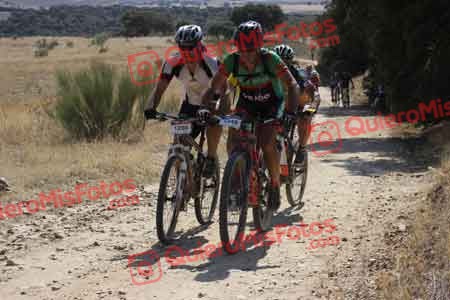 JOSE LUIS MARTIN NEVADO Talajara 2015 33073
