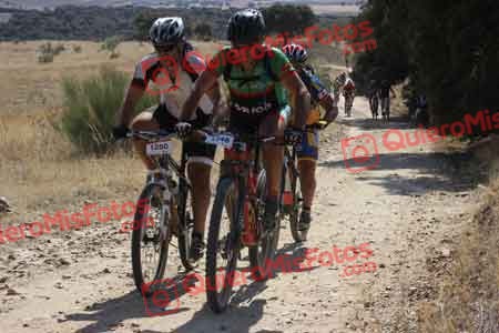JOSE LUIS MARTIN NEVADO Talajara 2015 33074