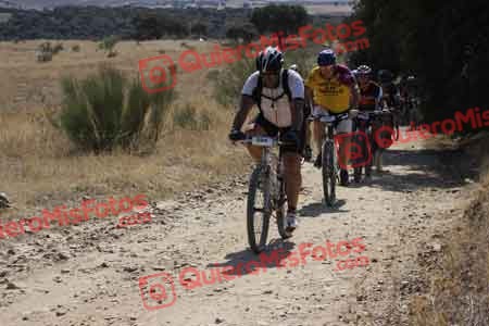 IVAN DORADO FUENTES Talajara 2015 33085