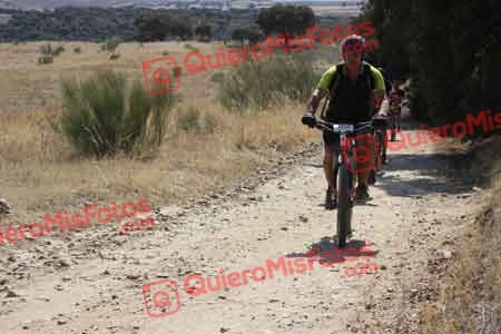 INIGO ESTEBAN GUINEA Talajara 2015 33116