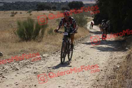 HIPOLITO ATIENZA LERIN Talajara 2015 33184