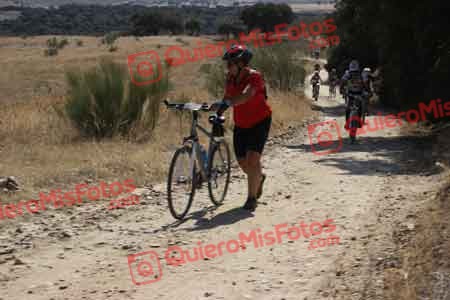 ALBERTO PARADELA GIL Talajara 2015 33191