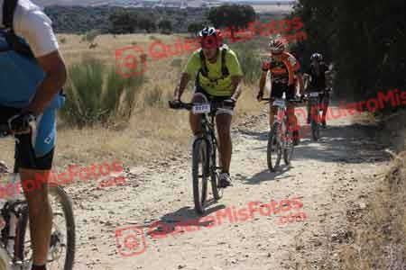 JOSE SANTANA CALVO Talajara 2015 33378