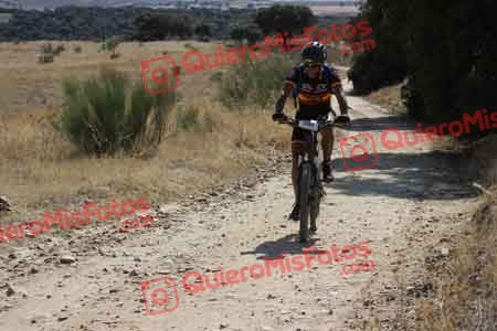 JOSE MARIA GOMEZ HIDALGO GUTIERREZ Talajara 2015 33401
