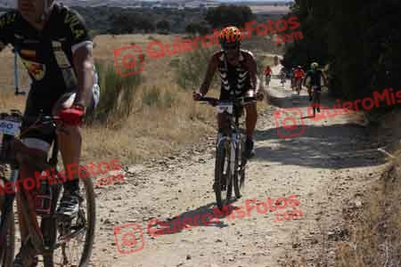 DAVID MAYORAL OLOMBRADA Talajara 2015 33579