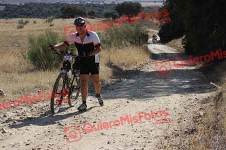 ALBERTO TERRONES DEL PINO Talajara 2015 33792