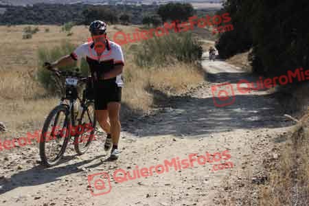 ALBERTO TERRONES DEL PINO Talajara 2015 33793