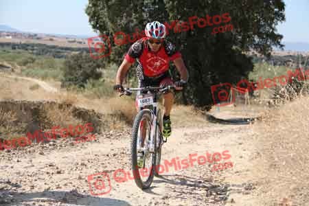 JORGE GALISTEO DE CABO Talajara 2015 31981