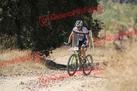 DAVID CASTRO MARTIN Talajara 2015 32080