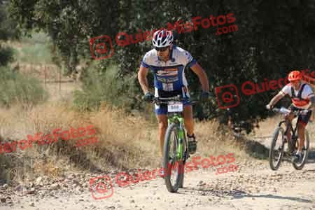 DAVID CASTRO MARTIN Talajara 2015 32082