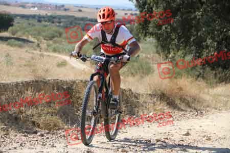 GUILLERMO ROTHE GOMEZ Talajara 2015 32090