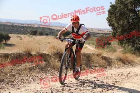 GUILLERMO ROTHE GOMEZ Talajara 2015 32092