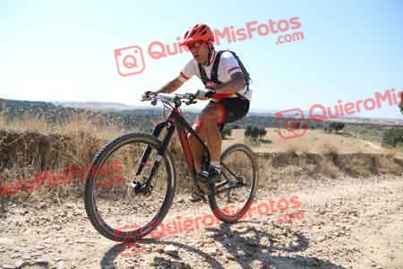 GUILLERMO ROTHE GOMEZ Talajara 2015 32095