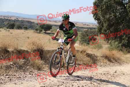 Talajara 2015 32098