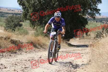 LUIS ORTIZ SAFON Talajara 2015 32101