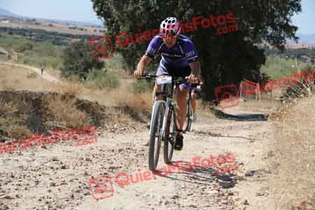LUIS ORTIZ SAFON Talajara 2015 32102