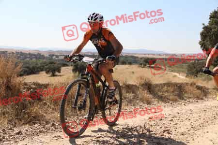 JOSE JULIAN ARRIERO TIZON Talajara 2015 32594