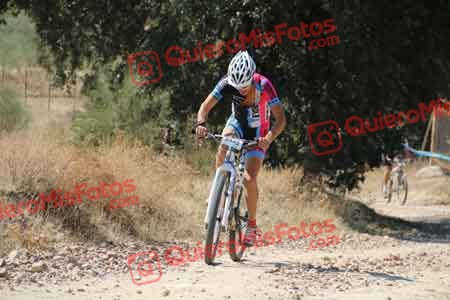 ANDREW LAINE Talajara 2015 32757