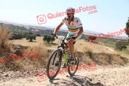 JUAN CARLOS MARTIN JIMENEZ Talajara 2015 32911