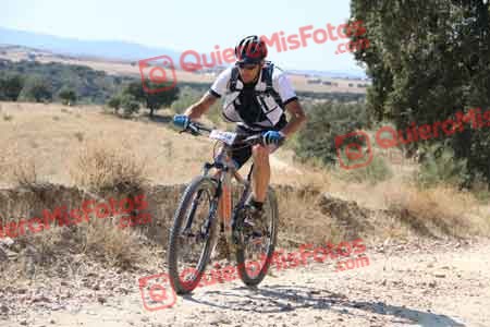 FRANCISCO JOSE NINO UNGIDOS Talajara 2015 33139