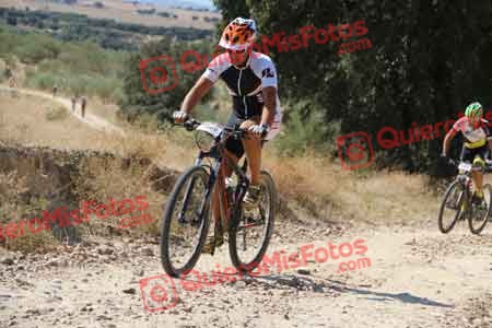 JOSE LUIS MONTERO SALAMANCA Talajara 2015 33267