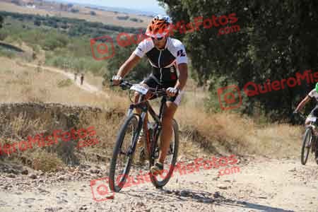 JOSE LUIS MONTERO SALAMANCA Talajara 2015 33268