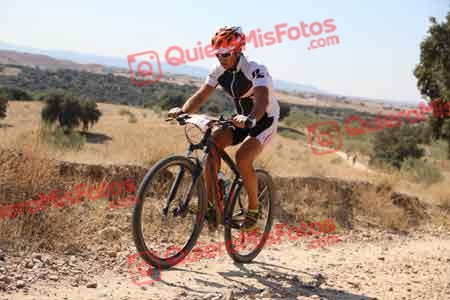 JOSE LUIS MONTERO SALAMANCA Talajara 2015 33271