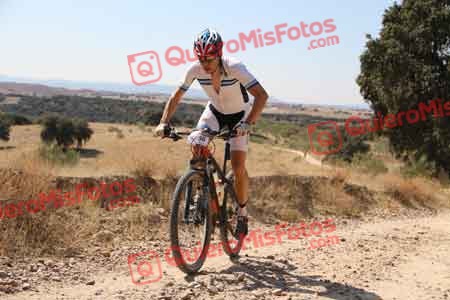 OSCAR LLORENTE DEL POZO Talajara 2015 33526