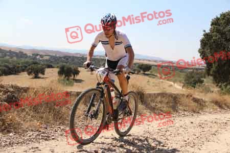 OSCAR LLORENTE DEL POZO Talajara 2015 33527