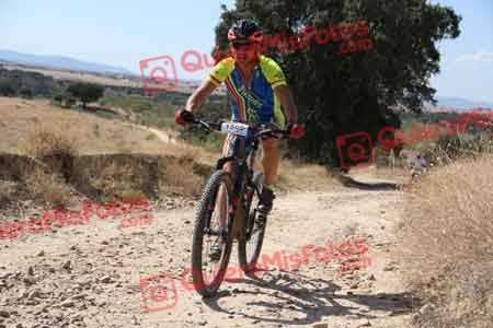 SANTIAGO TORTAJADA CASTRO Talajara 2015 33715