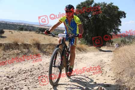 SANTIAGO TORTAJADA CASTRO Talajara 2015 33716