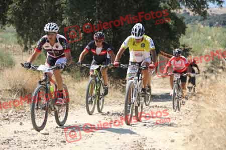 ANA CARMEN TORIBIO SANZ Talajara 2015 33910
