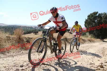 MARIANO HERNANDEZ BARRERA Talajara 2015 34078