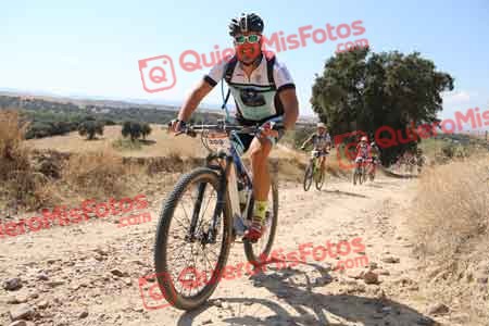 LUIS MIGUEL HIDALGO PELAEZ Talajara 2015 34144