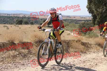 PEDRO MOYANO MARTIN Talajara 2015 34384