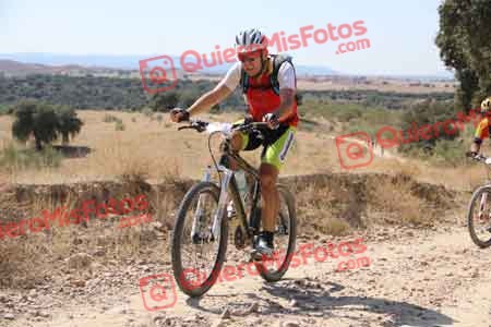 PEDRO MOYANO MARTIN Talajara 2015 34385