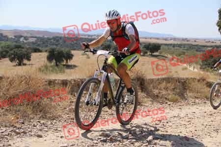 PEDRO MOYANO MARTIN Talajara 2015 34386