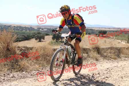 PAULINO VICARIO SANTAMARIA Talajara 2015 34390