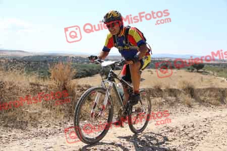 PAULINO VICARIO SANTAMARIA Talajara 2015 34391